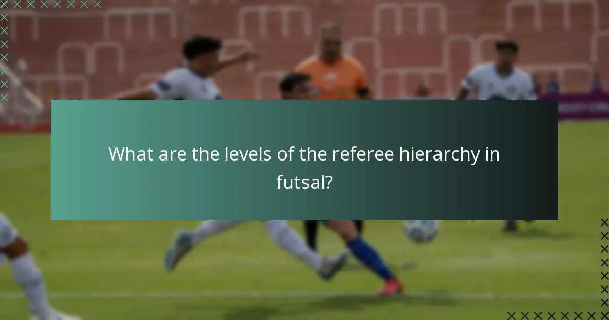 What are the levels of the referee hierarchy in futsal?
